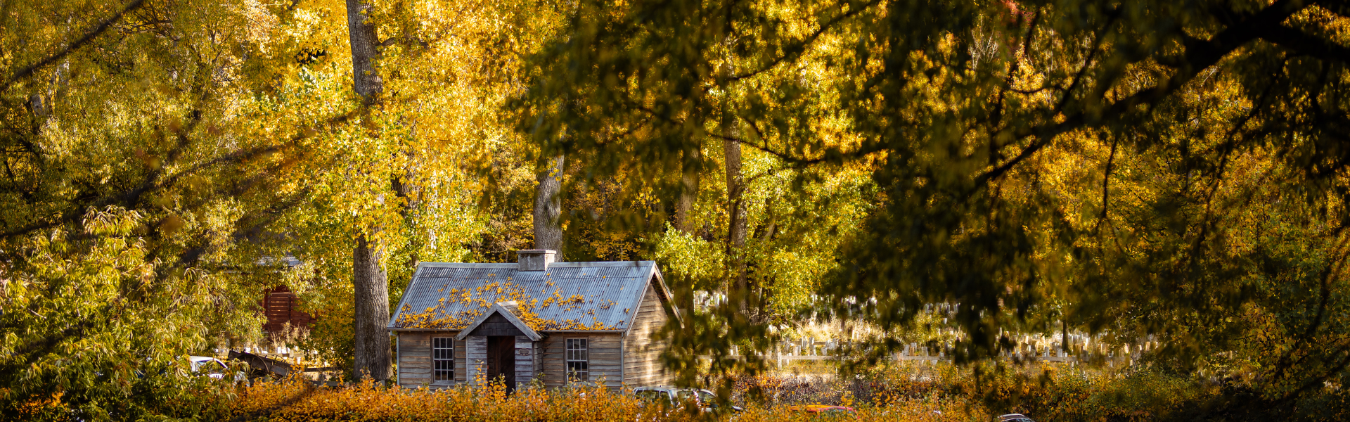 Historic miner's cottage in Arrowtown framed by autumn trees
