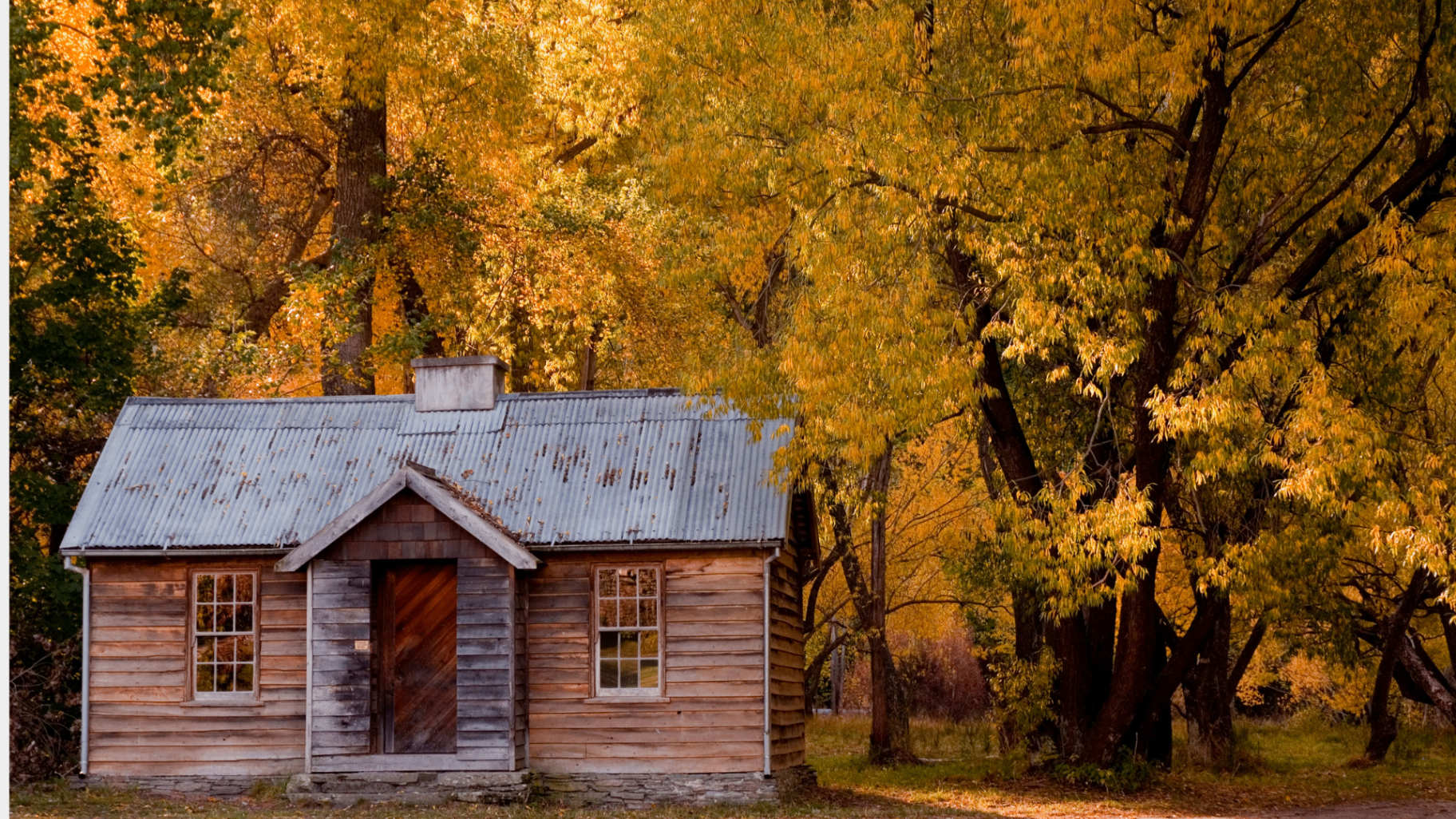 Historic wooden cottage surrounded by golden autumn trees in Arrowtown